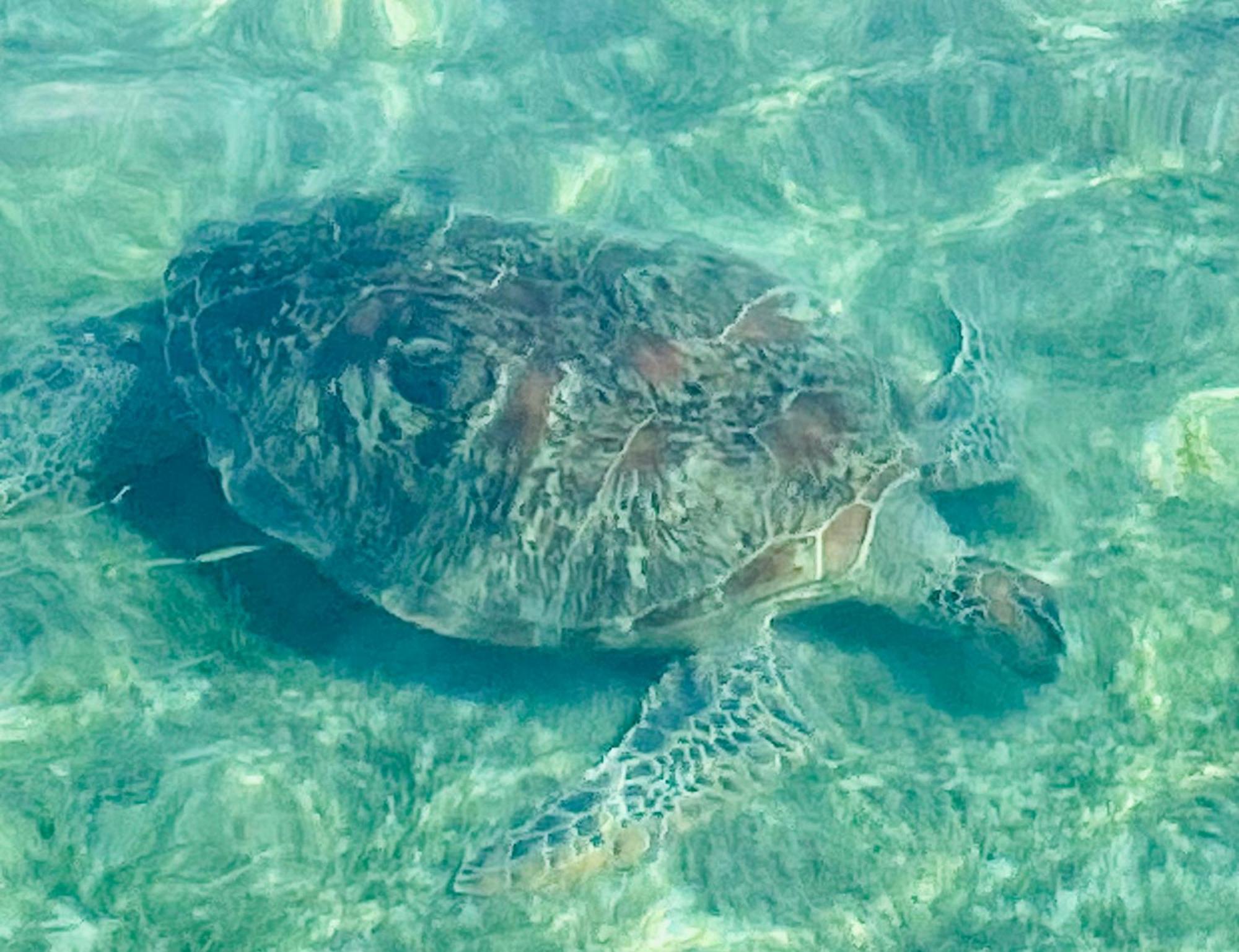 Follow Your Dreams Gili Air Exterior foto